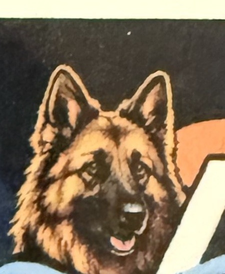 Avarys Pool & Spa Services mascot
